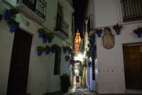 Blumengasse mit Kathedralturm bei Nacht