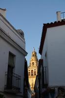 Kathedralturm aus der Blumengasse im Morgenlicht