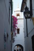 Die neue Moschee von Córdoba