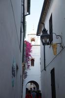 Die neue Moschee von Córdoba