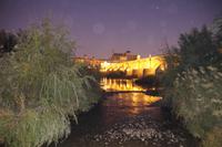 Mezquita-Catedral bei Nacht
