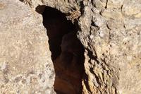 Replik des Elefanten des Elefantengrabes 