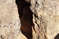 Replik des Elefanten des Elefantengrabes 