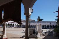 Lebensmittelmarkt in Carmona 