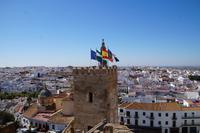 Alcázar de la Puerta de Sevilla 