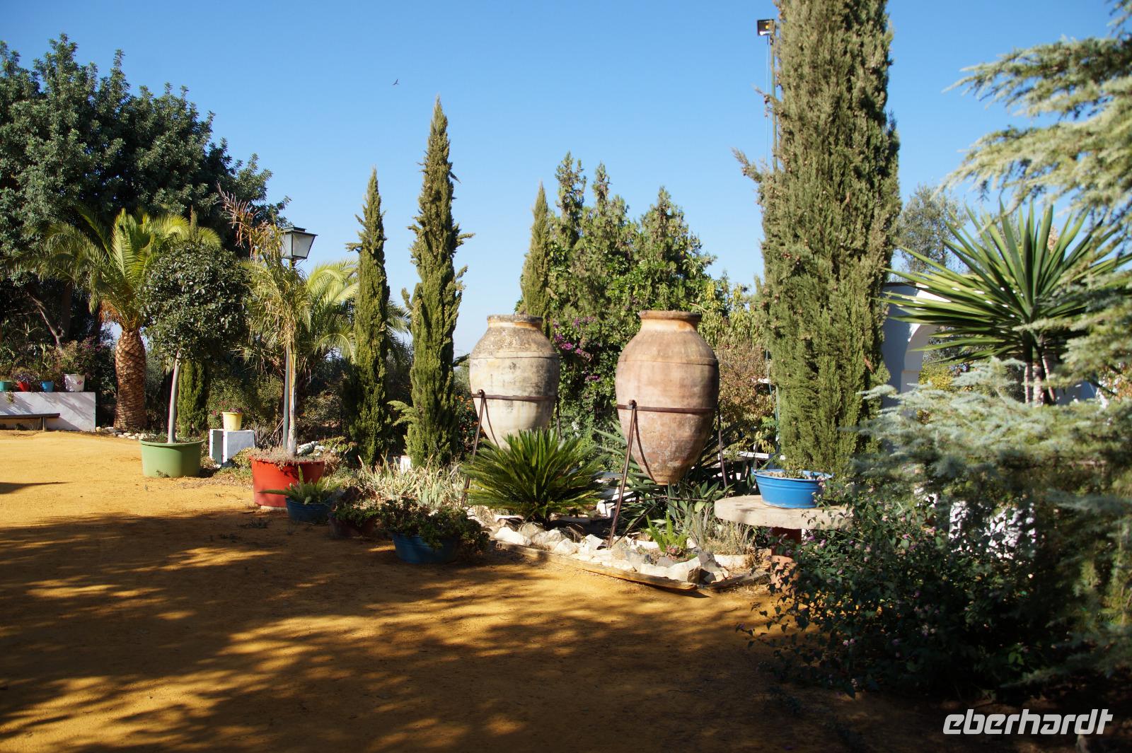 El Viso de Alcor, Basilippo - Olivenplantage