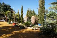 El Viso de Alcor, Basilippo - Olivenplantage