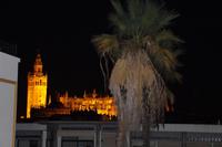 Kathedrale von Sevilla 