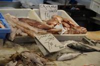 Fischmarkt von Cádiz