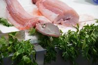 Fischmarkt von Cádiz