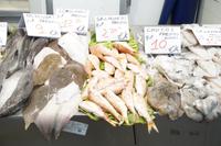 Fischmarkt von Cádiz