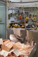 Thun- und Schwertfischkopf