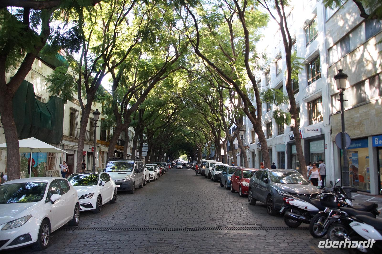 Jacaranda-Allee, Jerez
