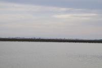 Das Guadalquivirufer mit der Sierra de Cádiz im Hintergrund 