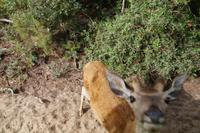 Naja, immerhin der Rücken ist scharf