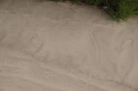 Spuren im Schn... Sand 