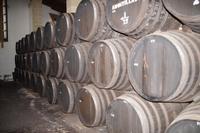 Das Amontillado-System, Bodegas Tradición 