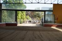 Beginn der Pferdeshow