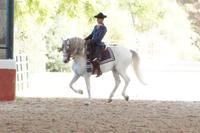 drei Hufe in der Luft