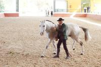 Yeguada Cartuja - Hierro del Bocado