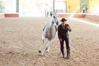 Yeguada Cartuja - Hierro del Bocado