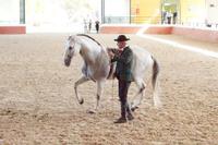 Yeguada Cartuja - Hierro del Bocado