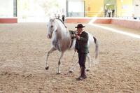 Yeguada Cartuja - Hierro del Bocado