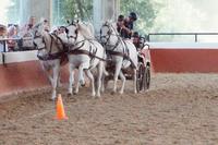 Sportlicher Vierspänner