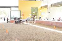 SUV - Sport Utility Vehicle - weitgehend CO2-frei