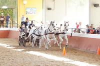 SUV - Sport Utility Vehicle - weitgehend CO2-frei