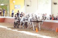 SUV - Sport Utility Vehicle - weitgehend CO2-frei