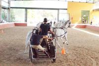 SUV - Sport Utility Vehicle - weitgehend CO2-frei