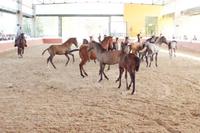 Wohin mit der Kraft? 