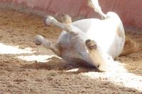 Schöööööööönnnnn.....