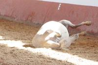 Schöööööööönnnnn.....