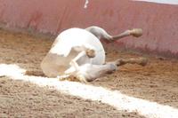 Schöööööööönnnnn.....