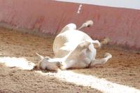 Schöööööööönnnnn.....