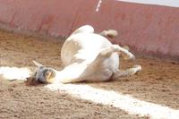 Schöööööööönnnnn.....