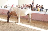 Bei Muttern schmeckt's am besten! 
