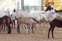 Bei Muttern schmeckt's am besten! 