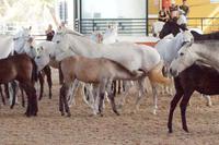 Bei Muttern schmeckt's am besten! 