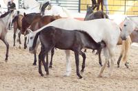Bei Muttern schmeckt's am besten! 