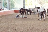 Noch mal schnell gewälzt. 