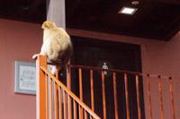 Die Schlange vor der Herrentoilette 