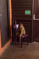 Der offizielle Türsteher