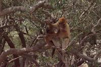 Hey, gib mir was ab! 