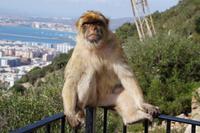 Schau doch nicht so grimmig