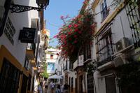 In der Straße der schmerzensreichen Jungfrau, Marbella
