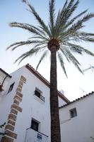 In Marbellas Altstadt