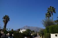 In einem marbellinischen Villenviertel 